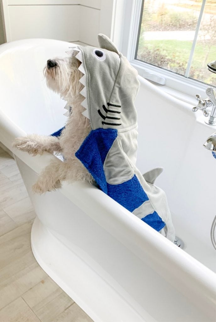 hooded dog shark towel